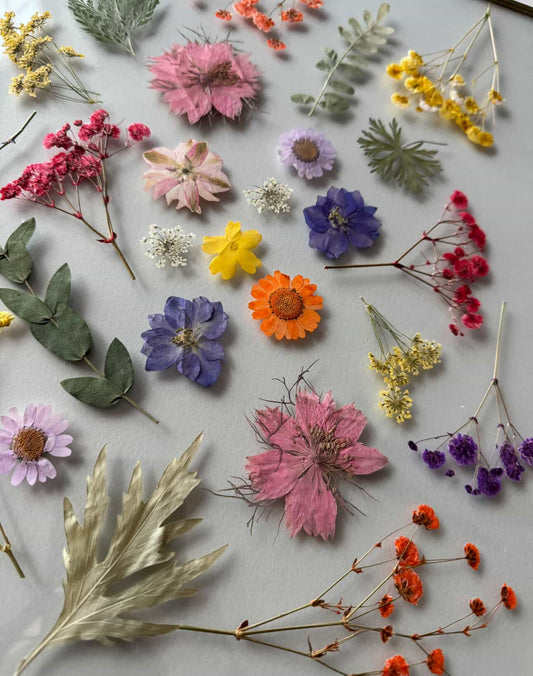 Mother's Day Pressed Flower Frame | March 15th | 12pm-1.30pm