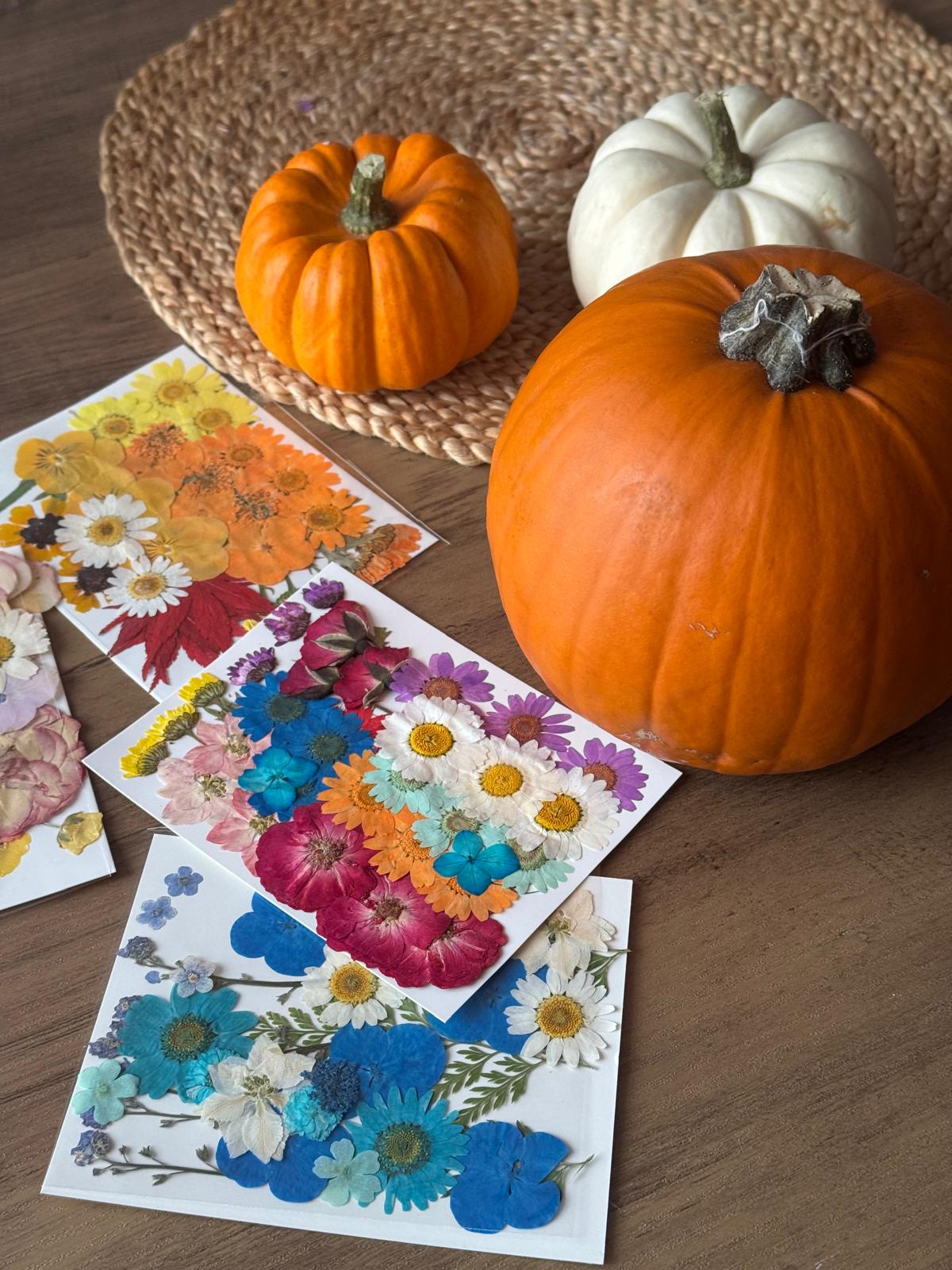 Pressed Flower Pumpkins | Sunday 25th October | Kids Only Ages 6-12 | 10am -11.00am